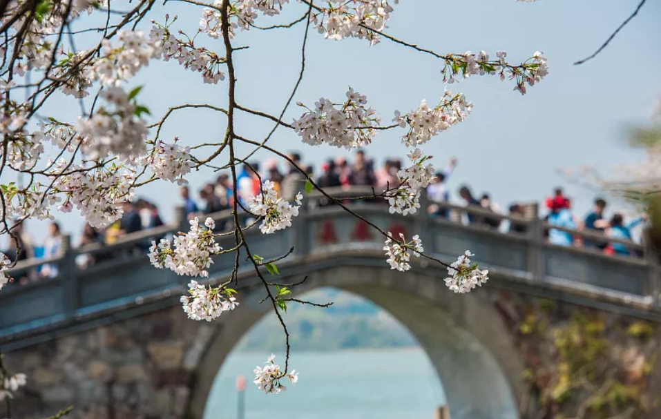 清明时节养生应该要怎么注意呢？