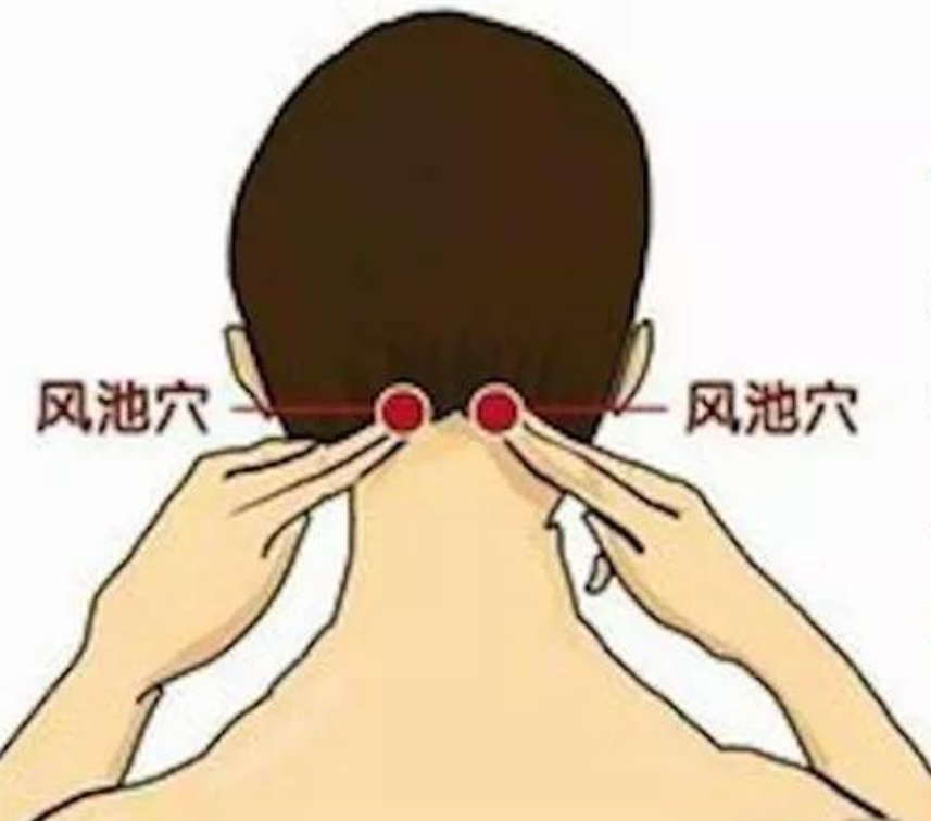 风池穴.png