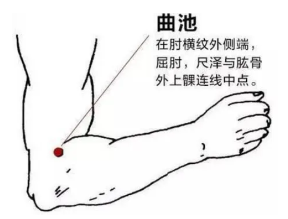 曲池穴.png